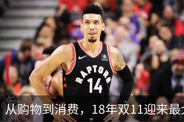 从购物到消费，18年双11迎来最大一次跃迁